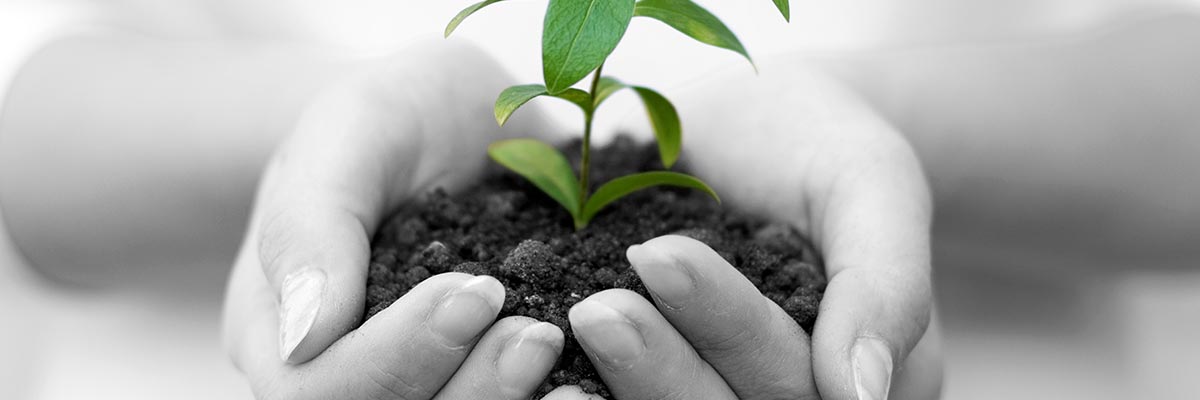 Der Trend geht eindeutig zu sanften, minimal-invasiven Methoden, wie zum Beispiel Microneedling.